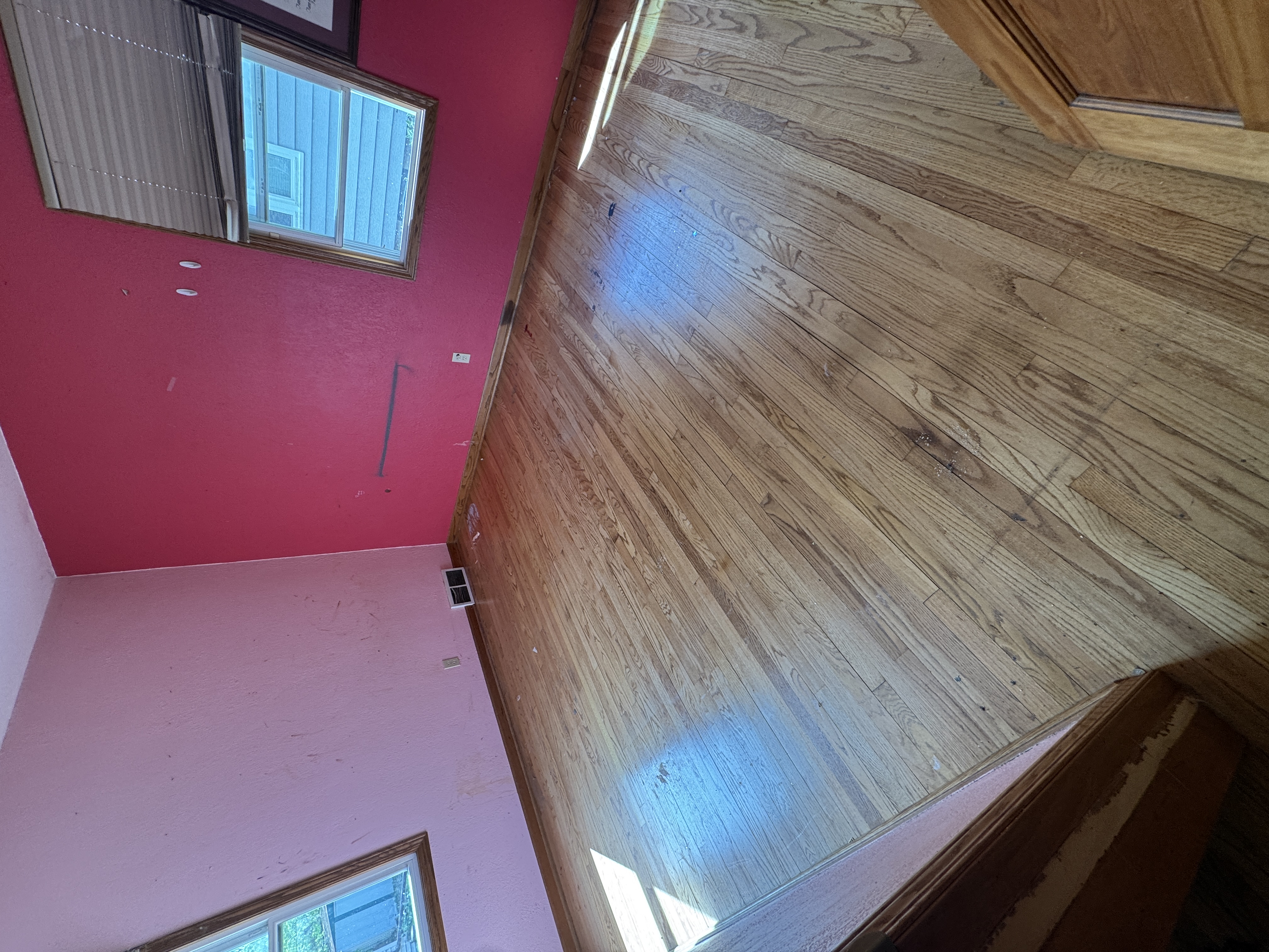 After hoarder house cleanout