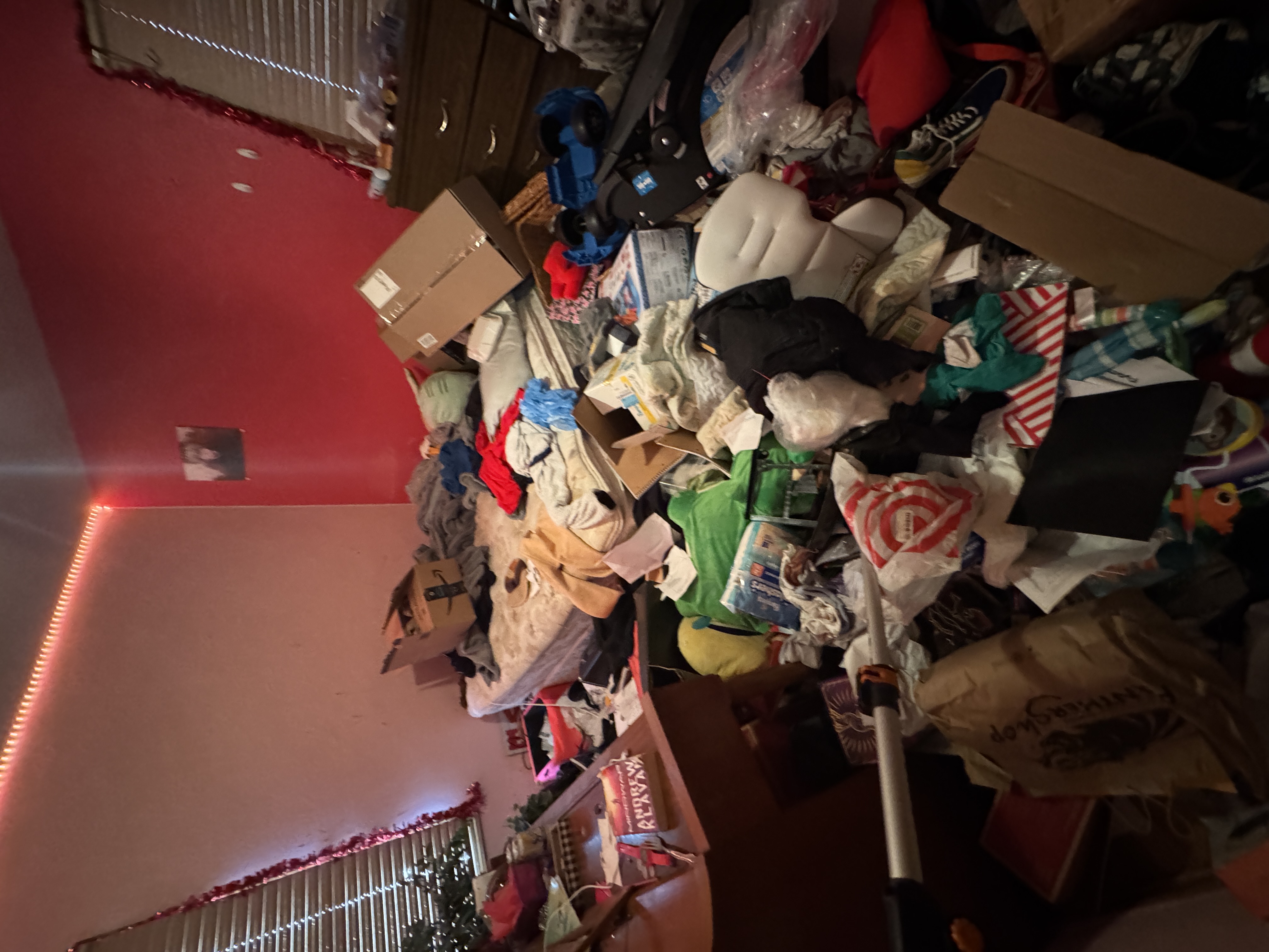 Before hoarder house cleanout